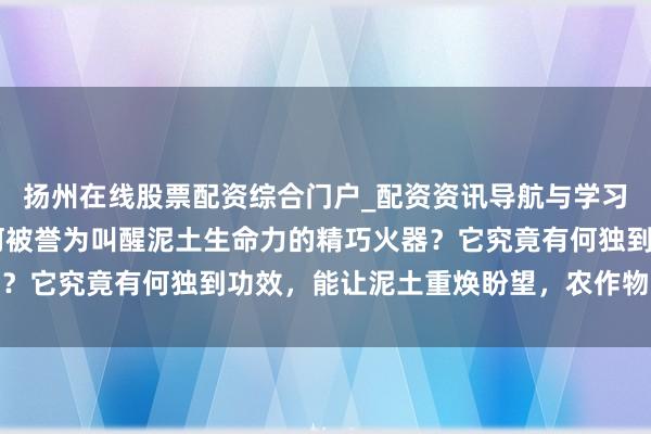 扬州在线股票配资综合门户_配资资讯导航与学习入口 矿源黄腐酸钾为何被誉为叫醒泥土生命力的精巧火器？它究竟有何独到功效，能让泥土重焕盼望，农作物隆盛成长