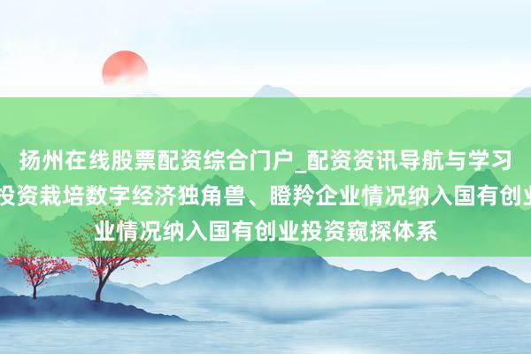 扬州在线股票配资综合门户_配资资讯导航与学习入口 福建：将投资栽培数字经济独角兽、瞪羚企业情况纳入国有创业投资窥探体系