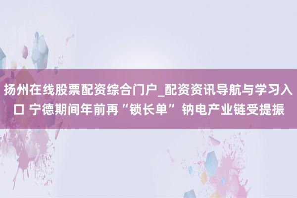 扬州在线股票配资综合门户_配资资讯导航与学习入口 宁德期间年前再“锁长单” 钠电产业链受提振