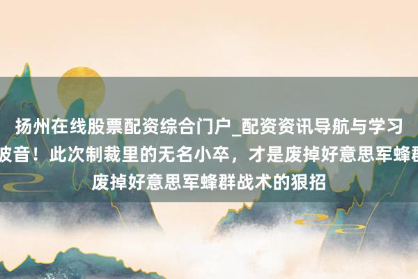 扬州在线股票配资综合门户_配资资讯导航与学习入口 不只是波音！此次制裁里的无名小卒，才是废掉好意思军蜂群战术的狠招