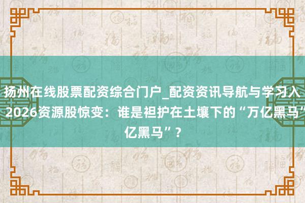 扬州在线股票配资综合门户_配资资讯导航与学习入口 2026资源股惊变：谁是袒护在土壤下的“万亿黑马”？