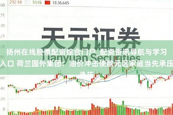 扬州在线股票配资综合门户_配资资讯导航与学习入口 荷兰国外集团:油价冲击使欧元区家庭当先承压