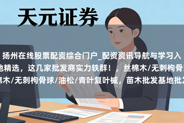 扬州在线股票配资综合门户_配资资讯导航与学习入口 2025苗木批发基地精选,这几家批发商实力轶群!,丝棉木/无刺枸骨球/油松/青叶复叶槭,苗木批发基地批发商推选分析