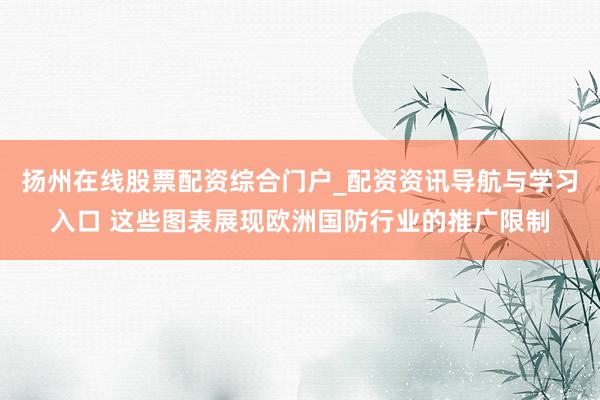 扬州在线股票配资综合门户_配资资讯导航与学习入口 这些图表展现欧洲国防行业的推广限制
