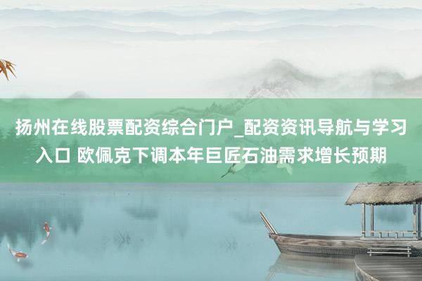 扬州在线股票配资综合门户_配资资讯导航与学习入口 欧佩克下调本年巨匠石油需求增长预期