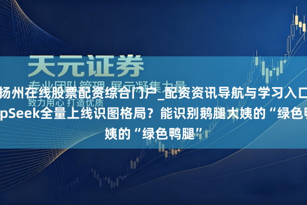扬州在线股票配资综合门户_配资资讯导航与学习入口 DeepSeek全量上线识图格局？能识别鹅腿大姨的“绿色鸭腿”