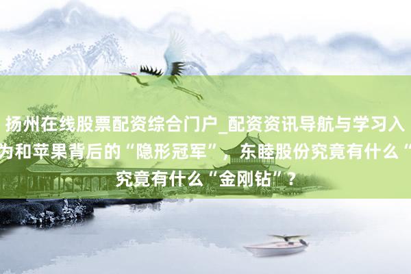 扬州在线股票配资综合门户_配资资讯导航与学习入口 藏在华为和苹果背后的“隐形冠军”，东睦股份究竟有什么“金刚钻”？