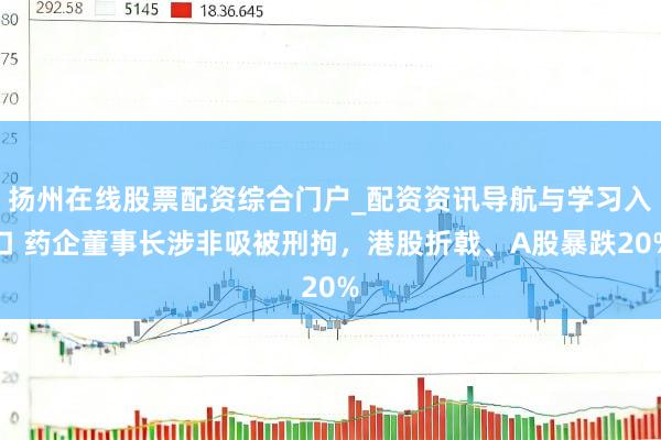 扬州在线股票配资综合门户_配资资讯导航与学习入口 药企董事长涉非吸被刑拘，港股折戟、A股暴跌20%
