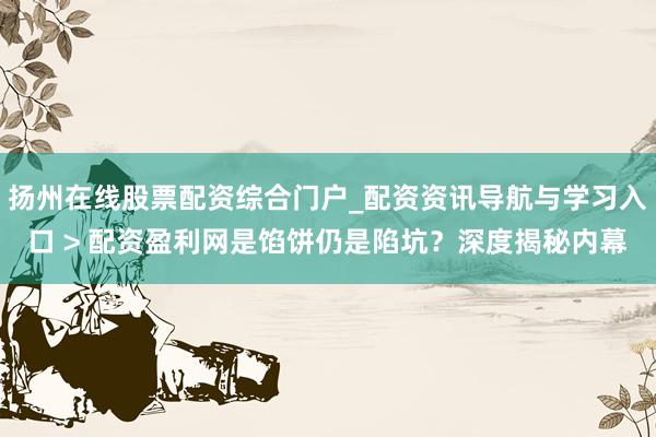 扬州在线股票配资综合门户_配资资讯导航与学习入口 > 配资盈利网是馅饼仍是陷坑？深度揭秘内幕